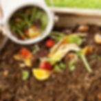 Left over food scraps is being used as natural fertiliser