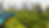 Train travel through a lands of tea cultivation